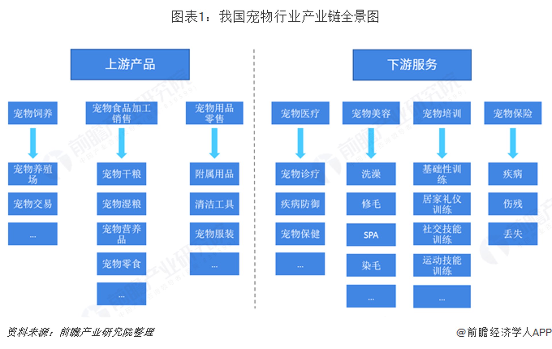 尤殿宠物生活